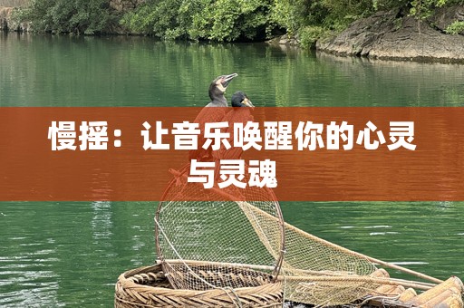 慢摇：让音乐唤醒你的心灵与灵魂