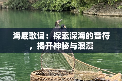 海底歌词：探索深海的音符，揭开神秘与浪漫