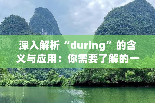 深入解析“during”的含义与应用：你需要了解的一切
