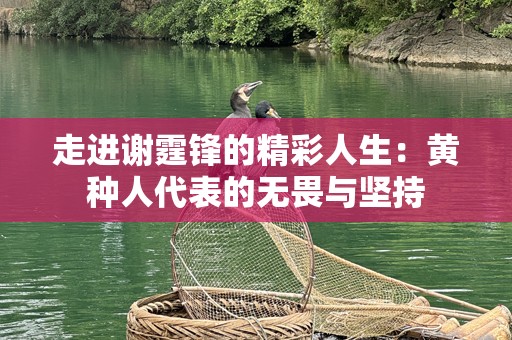 走进谢霆锋的精彩人生：黄种人代表的无畏与坚持