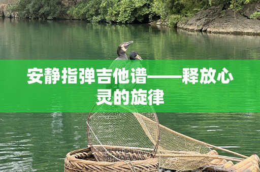 安静指弹吉他谱——释放心灵的旋律