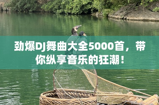 劲爆DJ舞曲大全5000首，带你纵享音乐的狂潮！