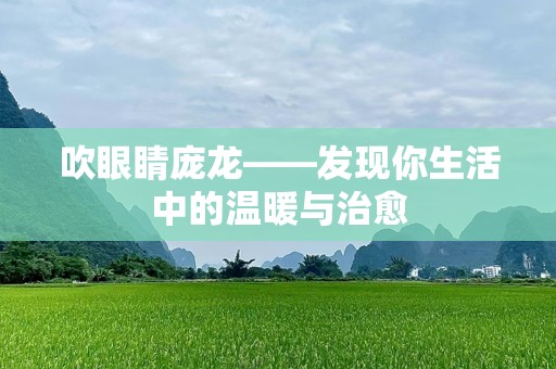 吹眼睛庞龙——发现你生活中的温暖与治愈