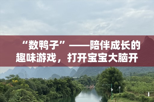 “数鸭子”——陪伴成长的趣味游戏，打开宝宝大脑开发的钥匙