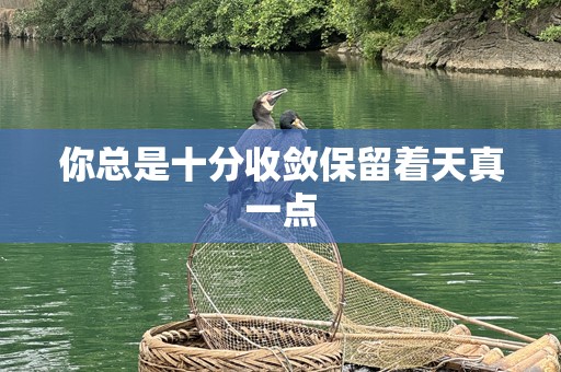 你总是十分收敛保留着天真一点
