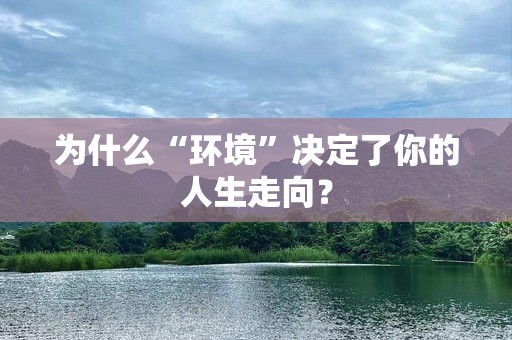 为什么“环境”决定了你的人生走向？
