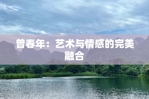 曾春年：艺术与情感的完美融合