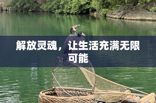 解放灵魂，让生活充满无限可能