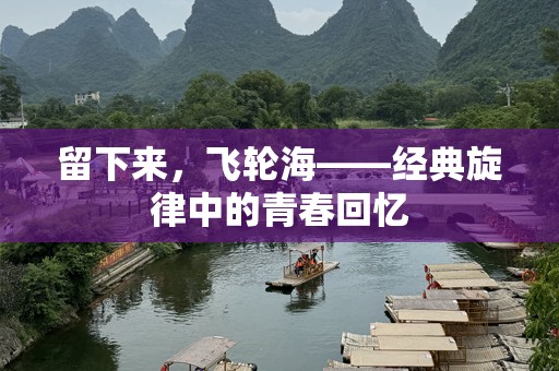 留下来，飞轮海——经典旋律中的青春回忆