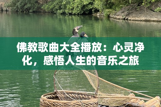 佛教歌曲大全播放：心灵净化，感悟人生的音乐之旅