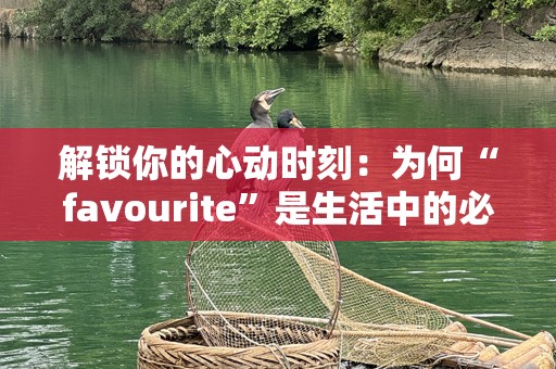 解锁你的心动时刻：为何“favourite”是生活中的必需品