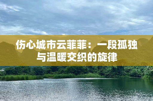 伤心城市云菲菲：一段孤独与温暖交织的旋律