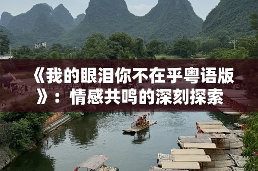 《我的眼泪你不在乎粤语版》：情感共鸣的深刻探索