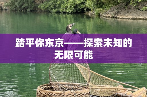踏平你东京——探索未知的无限可能