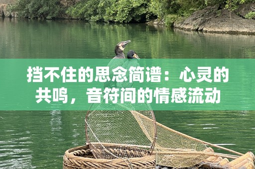 挡不住的思念简谱：心灵的共鸣，音符间的情感流动