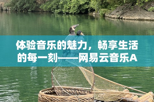 体验音乐的魅力，畅享生活的每一刻——网易云音乐APP下载全攻略