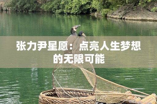 张力尹星愿：点亮人生梦想的无限可能