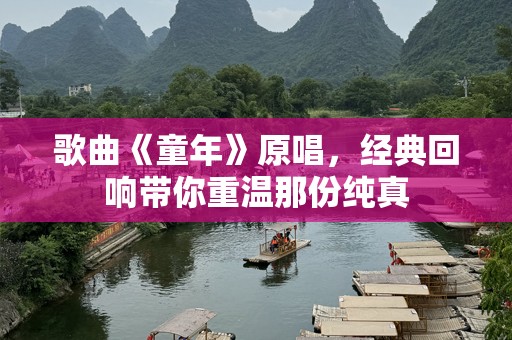 歌曲《童年》原唱，经典回响带你重温那份纯真