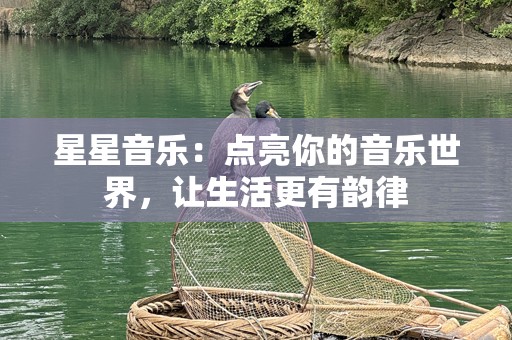 星星音乐：点亮你的音乐世界，让生活更有韵律