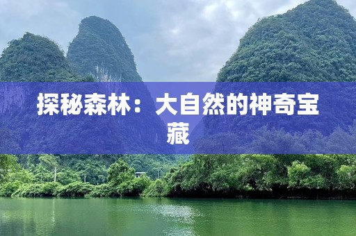 探秘森林：大自然的神奇宝藏