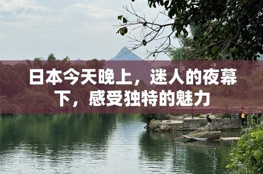 日本今天晚上，迷人的夜幕下，感受独特的魅力