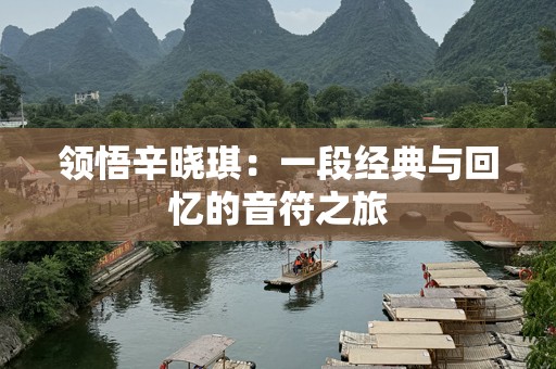 领悟辛晓琪：一段经典与回忆的音符之旅