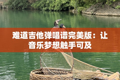 难道吉他弹唱谱完美版：让音乐梦想触手可及