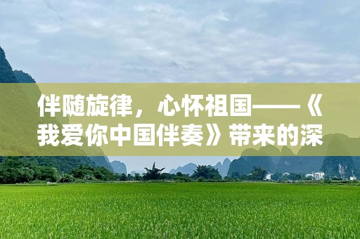 伴随旋律，心怀祖国——《我爱你中国伴奏》带来的深情共鸣