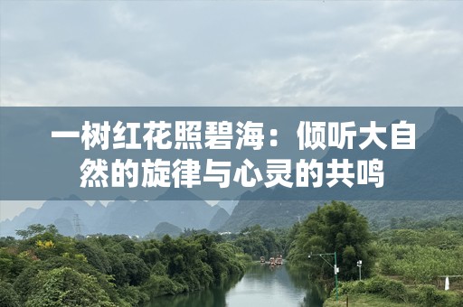 一树红花照碧海：倾听大自然的旋律与心灵的共鸣