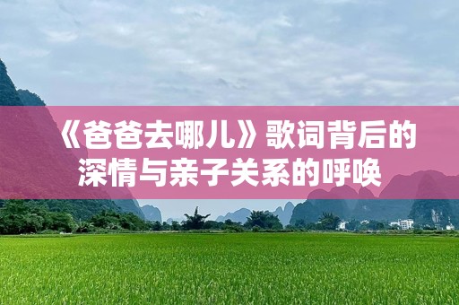 《爸爸去哪儿》歌词背后的深情与亲子关系的呼唤