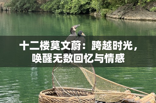 十二楼莫文蔚：跨越时光，唤醒无数回忆与情感