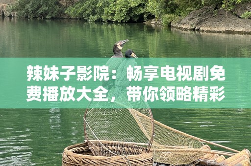 辣妹子影院：畅享电视剧免费播放大全，带你领略精彩纷呈的视觉盛宴