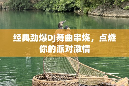 经典劲爆DJ舞曲串烧，点燃你的派对***