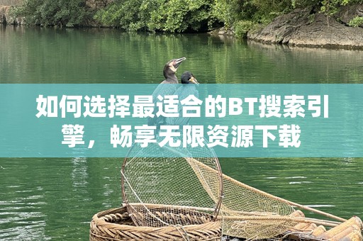 如何选择最适合的BT搜索引擎，畅享无限资源下载