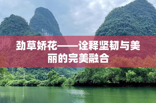 劲草娇花——诠释坚韧与美丽的完美融合
