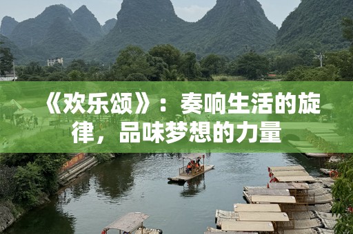 《欢乐颂》：奏响生活的旋律，品味梦想的力量