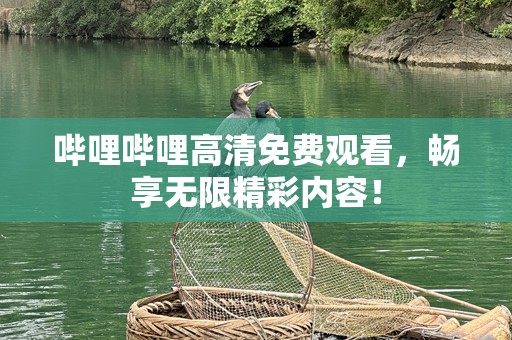 哔哩哔哩高清免费观看，畅享无限精彩内容！