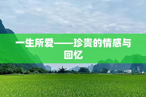 一生所爱——珍贵的情感与回忆