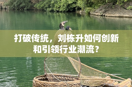 打破传统，刘栋升如何创新和引领行业潮流？
