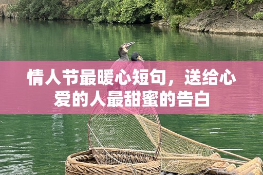 情人节最暖心短句，送给心爱的人最甜蜜的告白