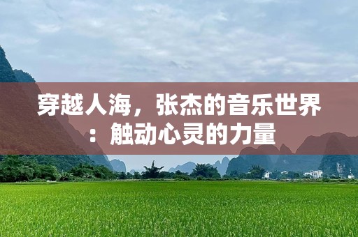 穿越人海，张杰的音乐世界：触动心灵的力量
