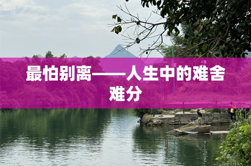 最怕别离——人生中的难舍难分