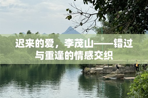 迟来的爱，李茂山——错过与重逢的情感交织