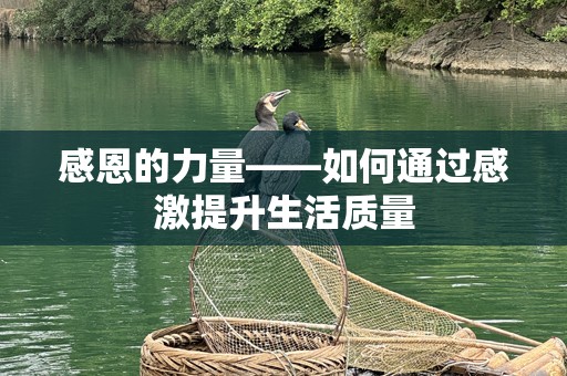 感恩的力量——如何通过感激提升生活质量