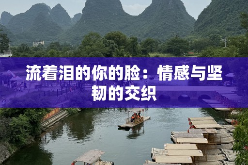 流着泪的你的脸：情感与坚韧的交织