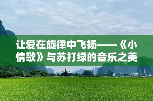 让爱在旋律中飞扬——《小情歌》与苏打绿的音乐之美