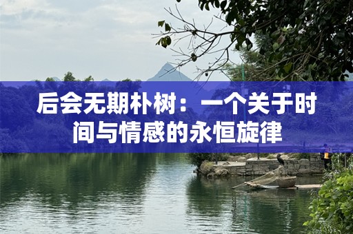 后会无期朴树：一个关于时间与情感的永恒旋律