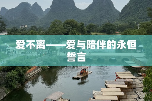 爱不离——爱与陪伴的永恒誓言