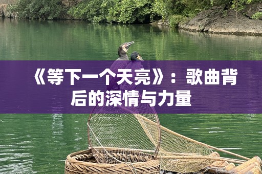 《等下一个天亮》：歌曲背后的深情与力量