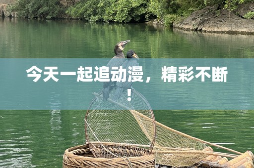 今天一起追动漫，精彩不断！